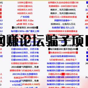 網(wǎng)賺論壇的項目是真的嗎？推薦2016年真實的網(wǎng)賺項目
