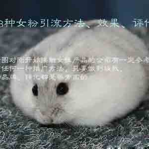 18種女粉引流方法、效果、評(píng)估