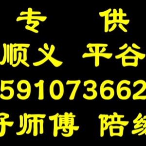 平谷好師傅汽車陪練公司僅此一家